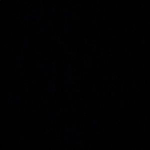 Meet your Posher, Ansley